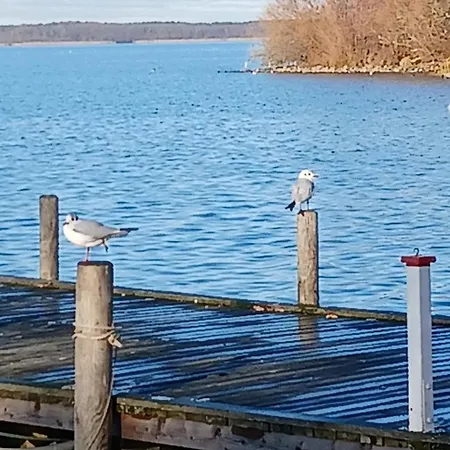 Auszeit Am Steinhudermeer Lägenhet *